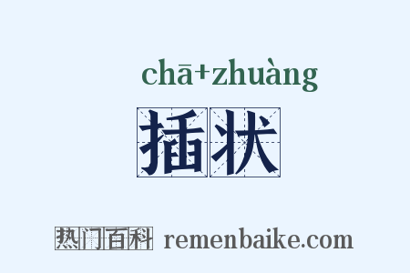 插状是什么意思的图片